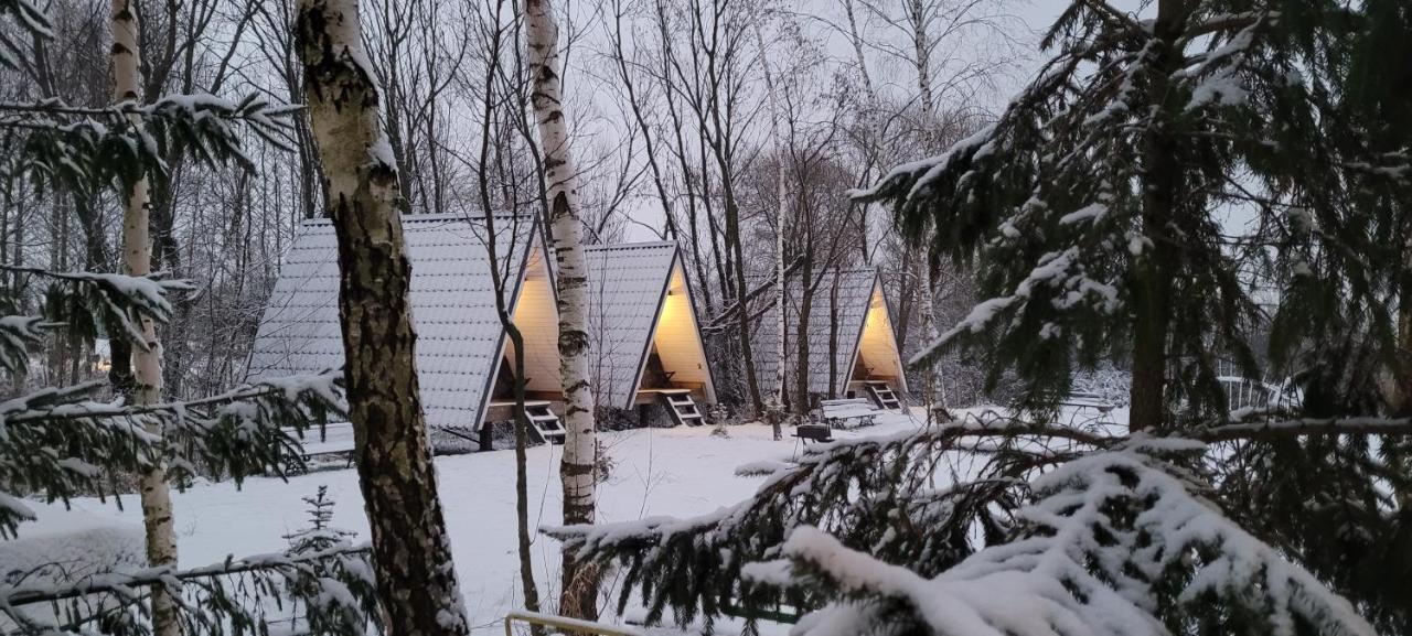 Vigio Brasta Camping Elektrenai Bagian luar foto