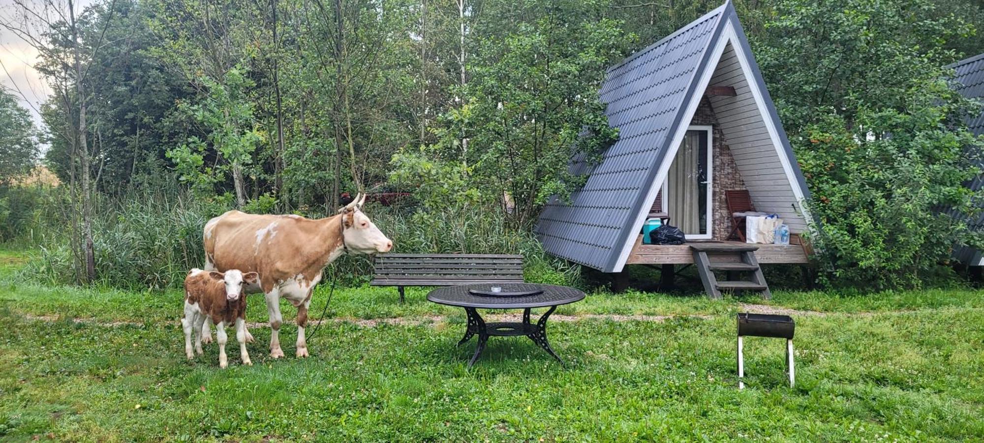 Vigio Brasta Camping Elektrenai Bagian luar foto